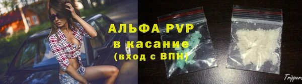 стафф Протвино
