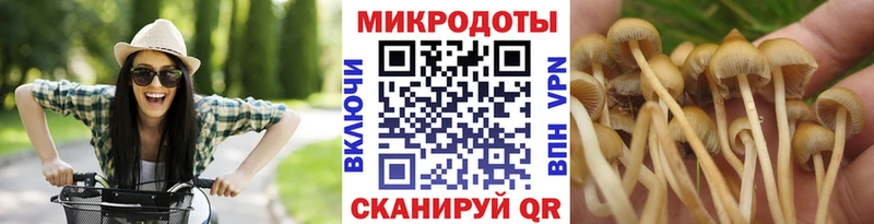 магазин  наркотиков  Татарск  Галлюциногенные грибы Magic Shrooms 